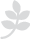 steinhau